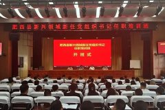 三师助企赋能新书记 肥西培训注入专业动能——市三师助企志愿服务团深度参与肥西县新兴领域0  组织书记培训纪实